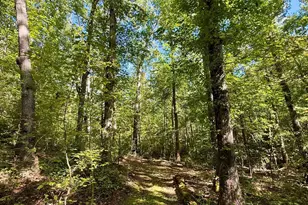 1100 Tugaloo Rd, Landrum, SC 29356 - Photo 11