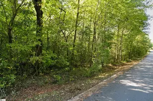 36 Mountain View School Rd, Taylors, SC 29687 - Photo 1