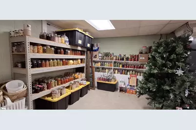 780 Ambler School Road, Pickens, SC 29671 - Photo 21