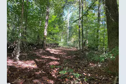 228 Tater Hill Mountain Road, Pickens, SC 29671 - Photo 9