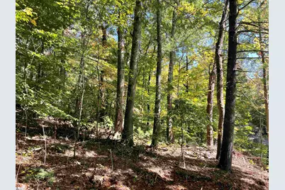 228 Tater Hill Mountain Road, Pickens, SC 29671 - Photo 7