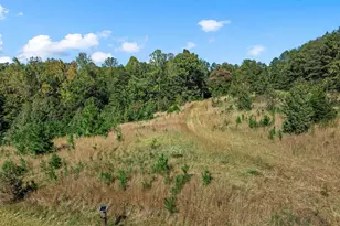 798 Burnt Gin Rd, Gaffney, SC 29340 - Photo 47