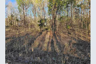 00 Rosemont Circle #Lot 12,13,14, Waterloo, SC 29384 - Photo 5