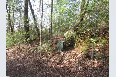 139 Whispering Falls Drive, Pickens, SC 29671 - Photo 17