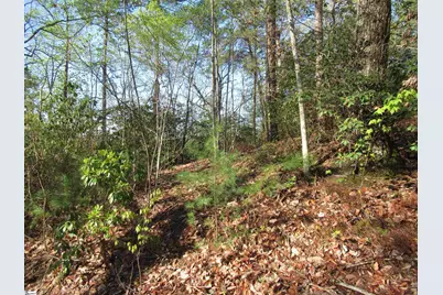 139 Whispering Falls Drive, Pickens, SC 29671 - Photo 19