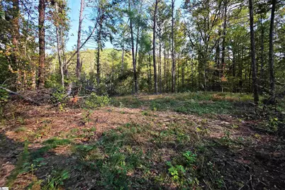 126 Valley Lake Trail, Travelers Rest, SC 29690 - Photo 13