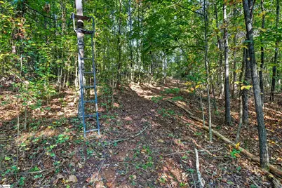 3880 Pennington Road, Greer, SC 29651 - Photo 47