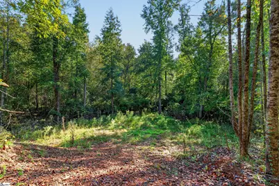 3880 Pennington Road, Greer, SC 29651 - Photo 43
