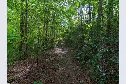 000 Glen Hollow Road, Travelers Rest, SC 29690 - Photo 3