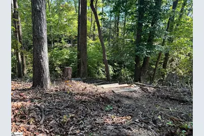 Ivorybill Way, Salem, SC 29676 - Photo 7