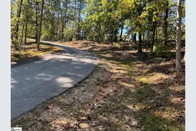 Ivorybill Way, Salem, SC 29676 - Photo 15