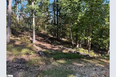 Ivorybill Way, Salem, SC 29676 - Photo 17