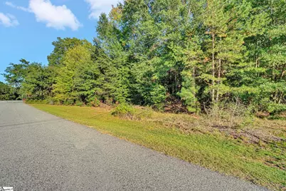 00000 Paris View Drive, Taylors, SC 29687 - Photo 5