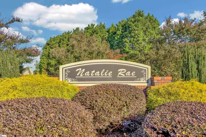 123 Lily Way, Lyman, SC 29365 - Photo 29