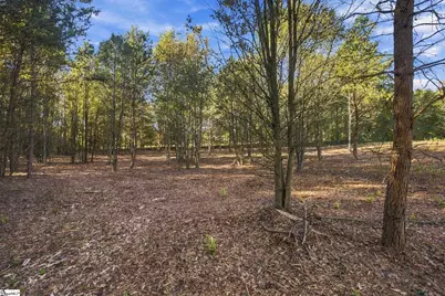 3252 N Highway 14, Greer, SC 29651 - Photo 5