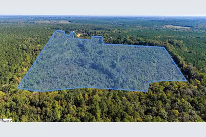 Blakely Road, Waterloo, SC 29384 - Photo 13