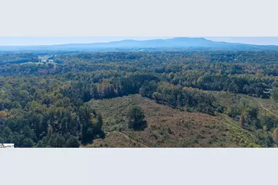 47 McCauley Road, Travelers Rest, SC 29690 - Photo 1
