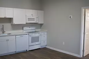 1 Bollinger St, Pelzer, SC 29669 - Photo 7