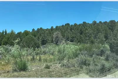 Tbd P14 Blm Trail (77) Trail #77, Minden, NV 89423 - Photo 1