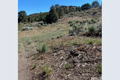 Tbd El Dorado Canyon, Carson City, NV 89701 - Photo 17