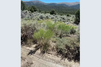 Tbd El Dorado Canyon, Carson City, NV 89701 - Photo 11