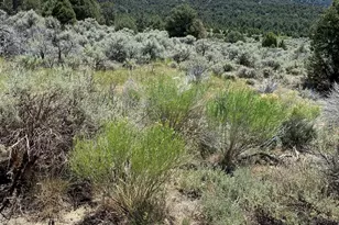 Tbd El Dorado Canyon, Carson City, NV 89701 - Photo 1