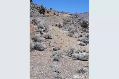 1196 Slate, Wellington, NV 89444 - Photo 5