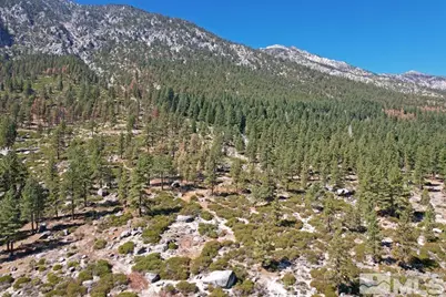 168 Five Creek Road, Gardnerville, NV 89460 - Photo 5