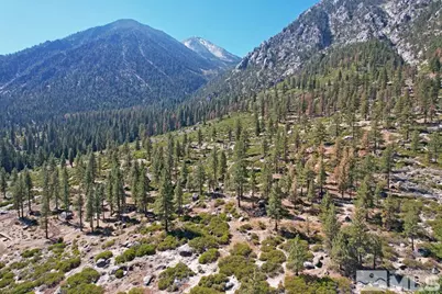 168 Five Creek Road, Gardnerville, NV 89460 - Photo 11