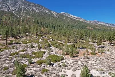 168 Five Creek Road, Gardnerville, NV 89460 - Photo 3