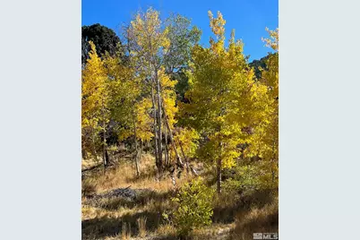 Tbd El Dorado Canyon, Smith, NV 89447 - Photo 11