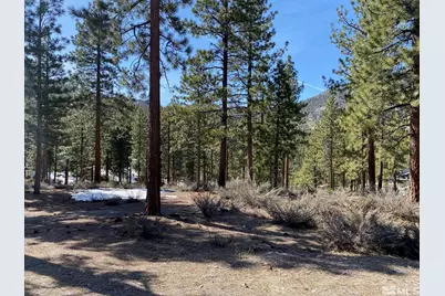 156 Walton Toll Road, Carson City, NV 89705 - Photo 5