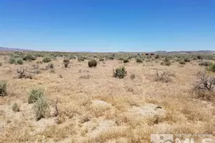 20021 Lahontan Dam Rd, Fallon, NV 89406 - Photo 1