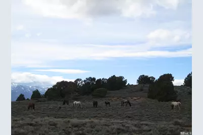 00430124 Mount Davidson, Virginia City, NV 89440 - Photo 13