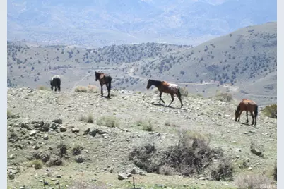 00430124 Mount Davidson, Virginia City, NV 89440 - Photo 15