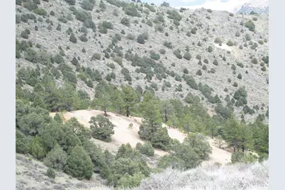 00430125 Mt Davidson, Virginia City, NV 89440 - Photo 17