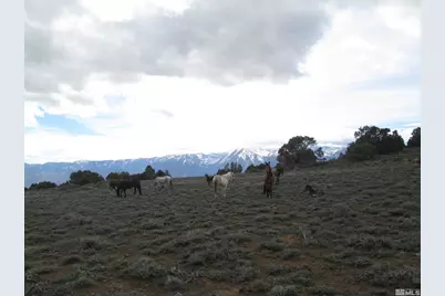 00430125 Mt Davidson, Virginia City, NV 89440 - Photo 11