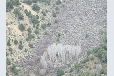 00430125 Mt Davidson, Virginia City, NV 89440 - Photo 23