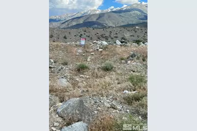 393 Golden Willow, Walker Lake, NV 89415 - Photo 3