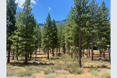 3385 Golf Club Drive, Carson City, NV 89705 - Photo 3