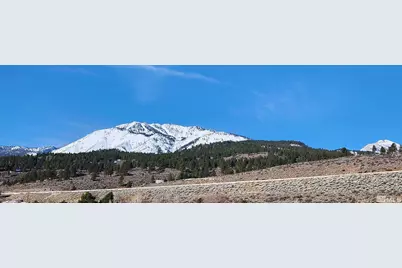 04608053 S US Highway 395, Washoe Valley, NV 89704 - Photo 3