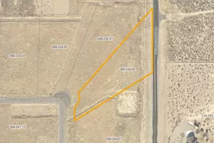 321 Angelina Cir, Wellington, NV 89444 - Photo 1