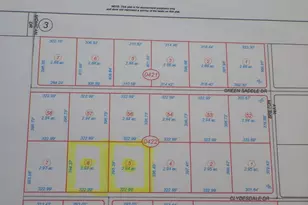 Clydesdale Dr, Golconda, NV 89414 - Photo 1