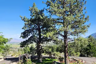 1220 Quail Ridge Rd, Gardnerville, NV 89460 - Photo 3