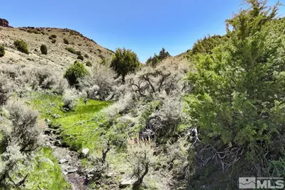 0 Pah Rah Springs Road, Reno, NV 89510 - Photo 1
