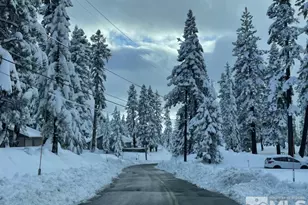 449 Andria Dr, Stateline, NV 89449 - Photo 53