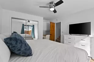 449 Andria Dr, Stateline, NV 89449 - Photo 43