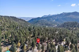 449 Andria Dr, Stateline, NV 89449 - Photo 63