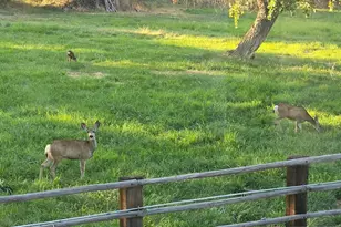 1677 Rio Vista Dr, Fallon, NV 89406 - Photo 35