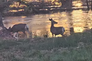 1677 Rio Vista Dr, Fallon, NV 89406 - Photo 37